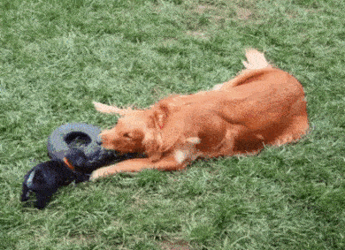 1509668942110563497.gif