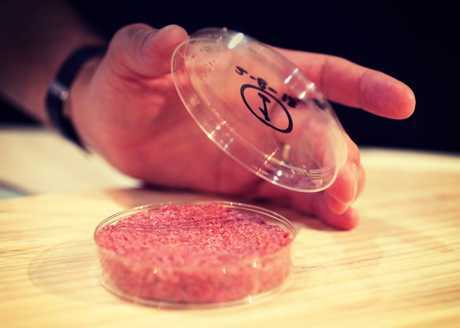 Test tube meat: fact or fiction? - My, Meat, Technologies, Scientists, Future technologies, Biotechnology, Longpost