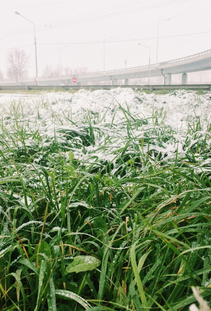 ���� ���, ���� ������