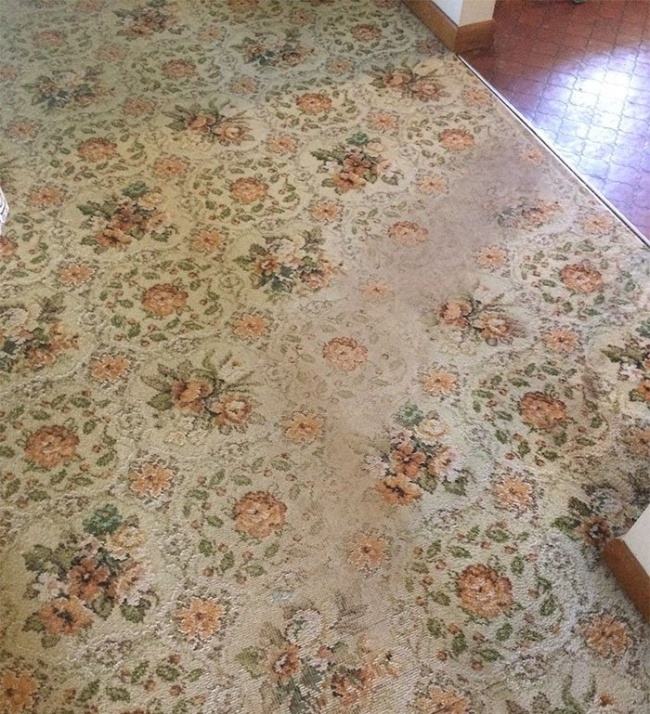 The carpet has not been changed since the 1970s. Now it shows the shortest path to the fridge - Carpet, Last century, Refrigerator, Food, Not mine, From the network