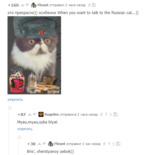 Cat Boris Hren Popadesh