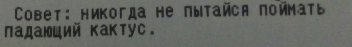 Номинация: лайфхак недели! - Лайфхак, Текст, Кактус, Совет, Моё