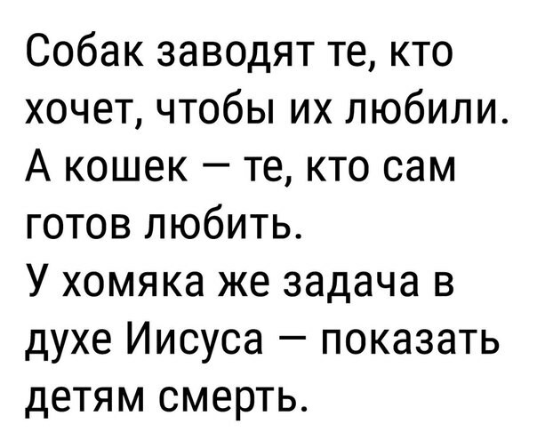 Страсти хомяковы