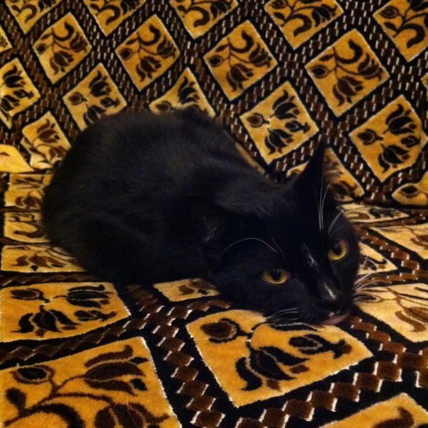 ������ ��� � �����