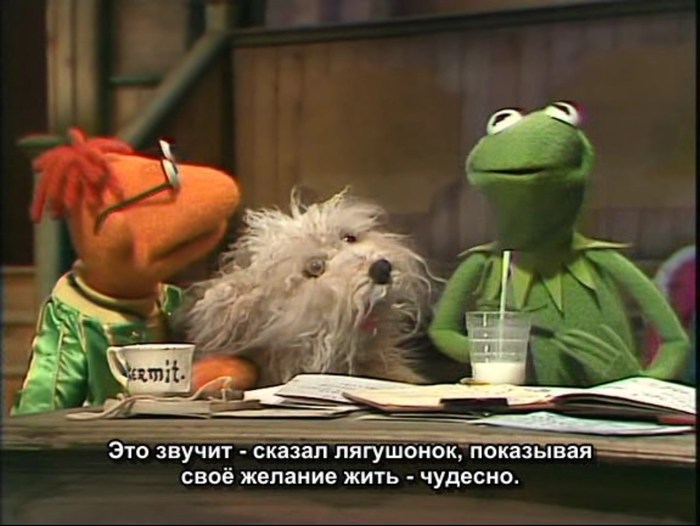 When someone superior asks my opinion: - Humor, The Muppet Show, Kermit the Frog