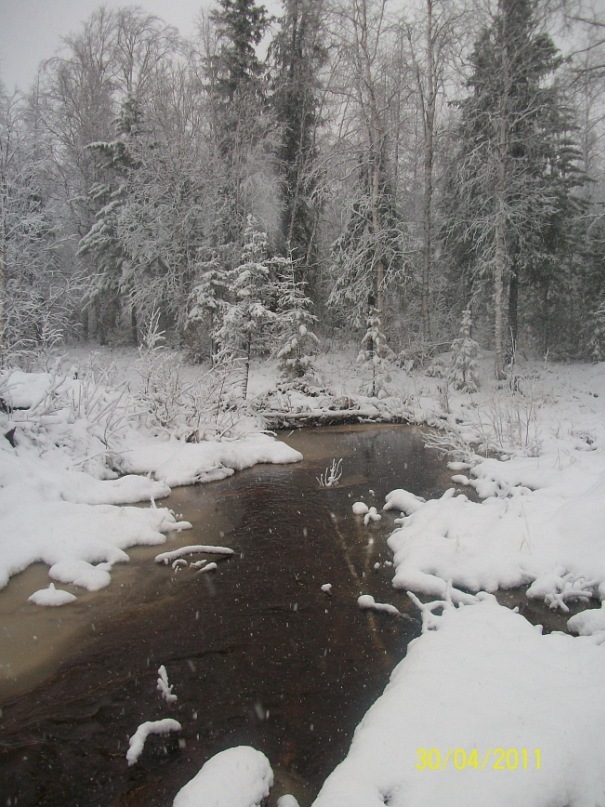 Nadymsky district, spring - My, Spring, Nadym, Nadym District, Nature, Longpost