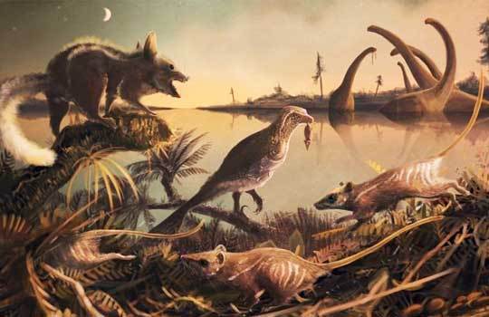Meet New Mesozoic Mammals: Durlstodon and Durlstotherium - Paleontology, Find, news, Mammals, Copy-paste, Longpost