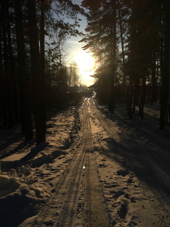 The smell of winter - Winter, Nature, Sunset