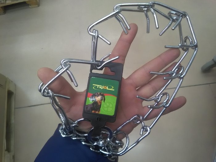 Не хотел бы я встретиться с Такой таксой !!!