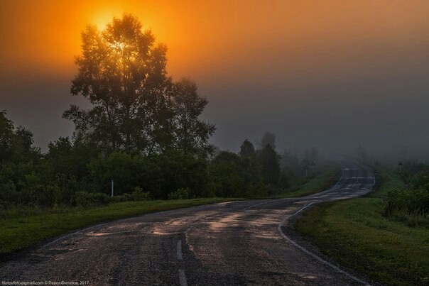 Photographer from Altai - The photo, Altai, Longpost, Altai Republic