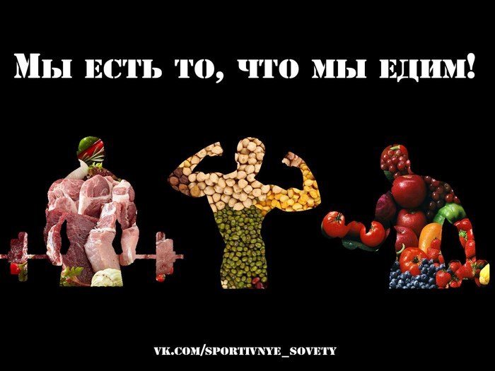 Мы есть то, что мы едим, или мы едим то, что мы есть? - Моё, Спорт, Тренер, Программа тренировок, Спортивные советы, Здоровье, Похудение, Питание, Бактерии, Длиннопост