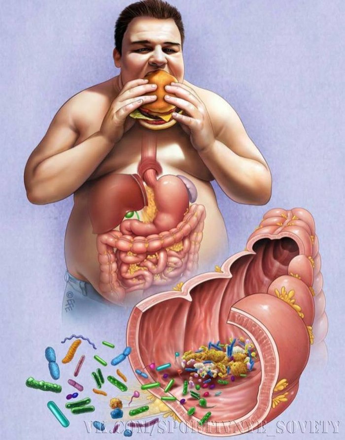 Реклама мы то что мы едим. 1510129722110913467. Реклама мы то что мы едим фото. Реклама мы то что мы едим-1510129722110913467. картинка Реклама мы то что мы едим. картинка 1510129722110913467. девяностых и ранних нулевых — то, что многим из нас запомнилось не меньше, чем политические события в стране и мире. Смахиваем слезу ностальгии и вспоминаем самые яркие и креативные ролики тех лет. Реклама мы то что мы едим. 1510129722110913467. Реклама мы то что мы едим фото. Реклама мы то что мы едим-1510129722110913467. картинка Реклама мы то что мы едим. картинка 1510129722110913467. девяностых и ранних нулевых — то, что многим из нас запомнилось не меньше, чем политические события в стране и мире. Смахиваем слезу ностальгии и вспоминаем самые яркие и креативные ролики тех лет.