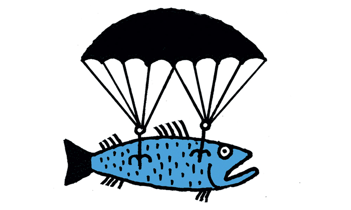     ?  ,          , ,  , , , 