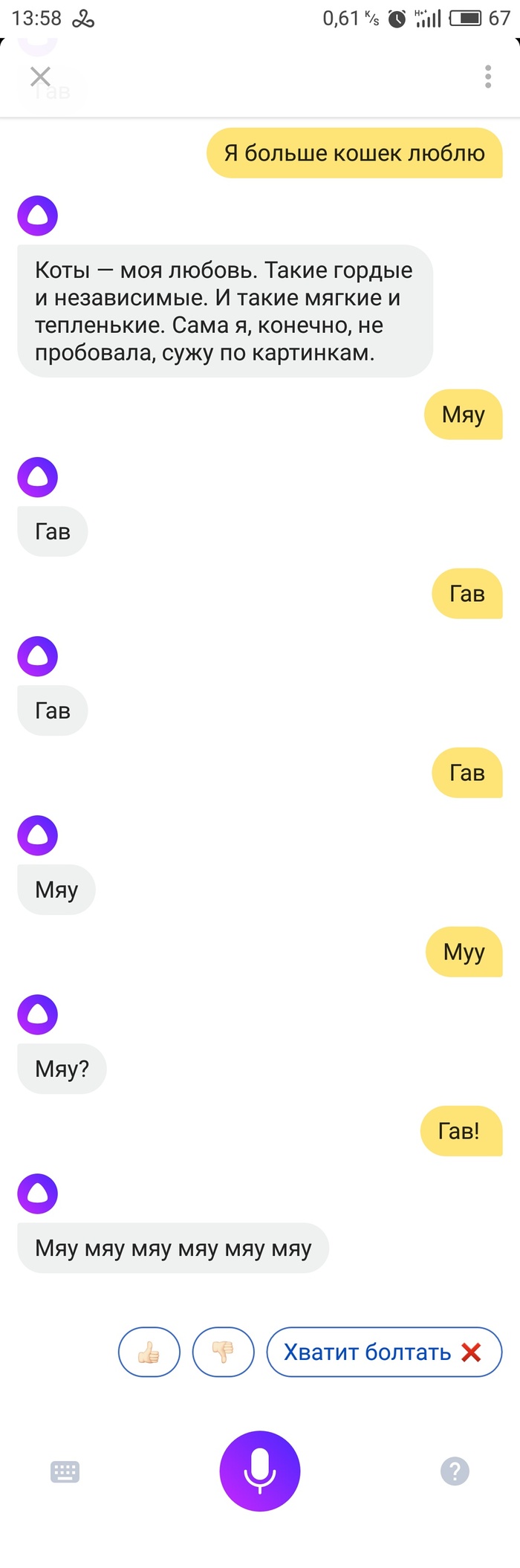 Everyone loves cats. Even artificial intelligence. - My, Yandex Alice, The bot, Artificial Intelligence, Correspondence, Screenshot, Longpost
