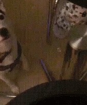?  ?!