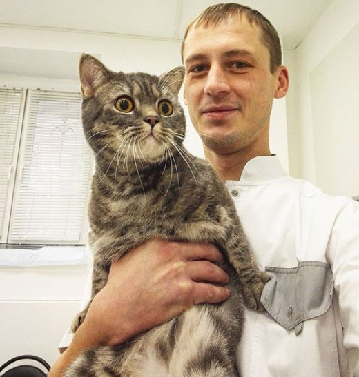 Kittens at the vet - cat, Vet, Longpost, The photo, 