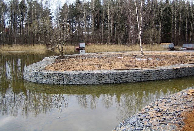 On the dangers of vertical bank protection - Animal protection, Ecology, Birds, Animals, Reserve, Pond, Forest Park, Longpost, Reserves and sanctuaries