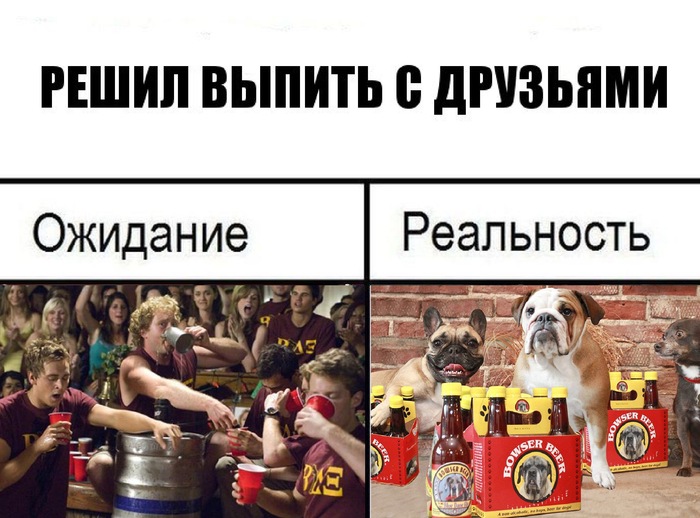 But you won't be ashamed. - My, American Pie, Beer, Dog, Expectation and reality