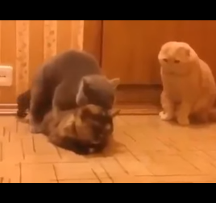 ����� ���� � ������ ��������