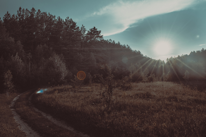 Autumn - My, The photo, Color correction, Lightroom, , HDR, Flour, Beginning photographer