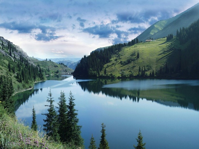 Nature of Kazakhstan! Lake Kaiyndy! - Kazakhstan, Nature, Kolsai, Lake Kaindy, Lake, Tourism, Longpost