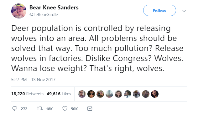 Release the wolves! - Wolf, Problem, Solution, Translation