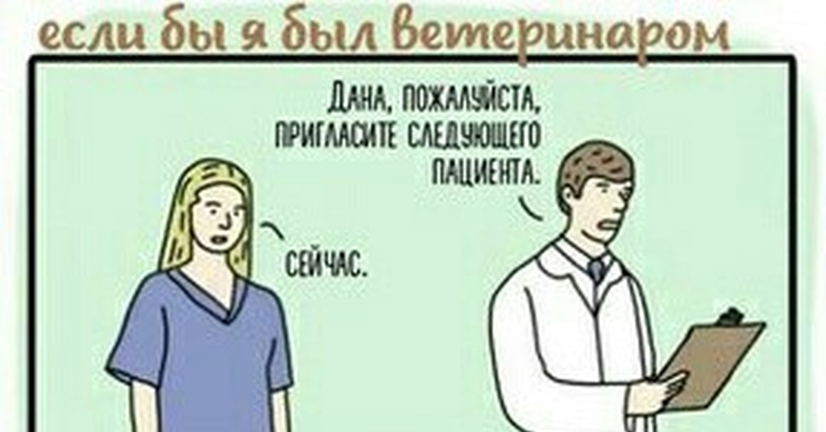 Следующий пациент. Мемы про ветеринаров. Ветеринар Мем. Если бы я был ветеринаром. Мемы я ветеринар.