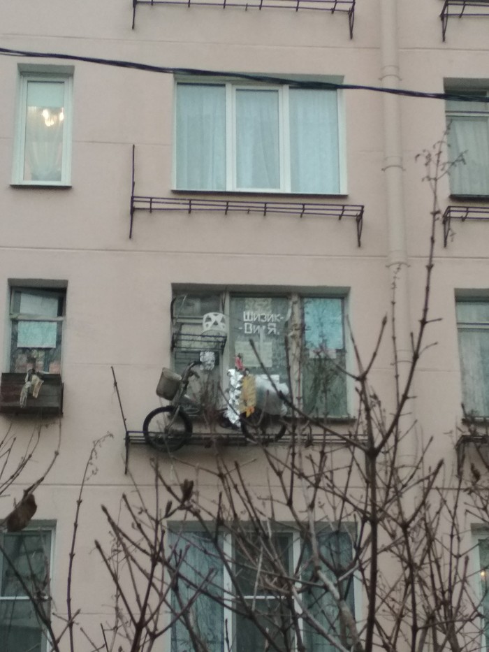 Vitya needs to go out - My, , What's this?, Inadequate, Saint Petersburg, Longpost