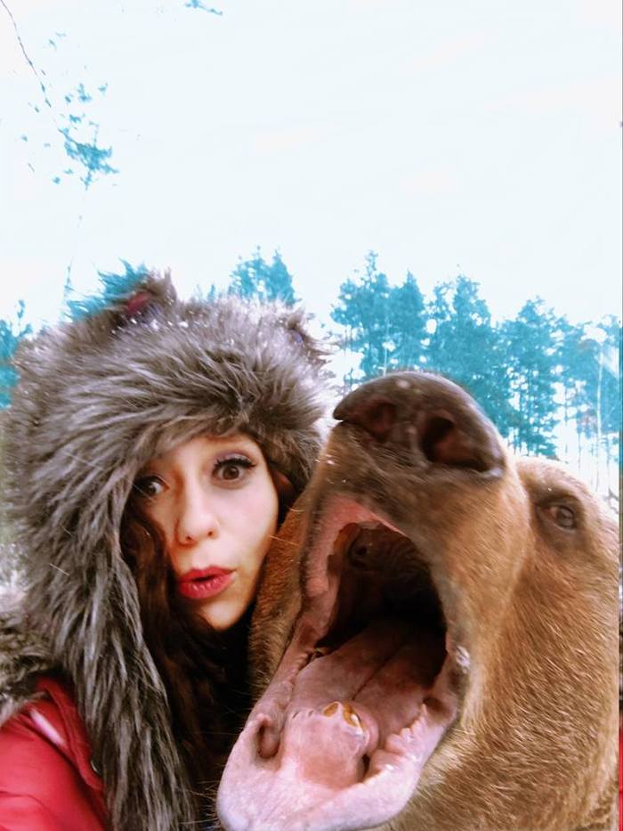 Сэлфи с мишкой | Пикабу