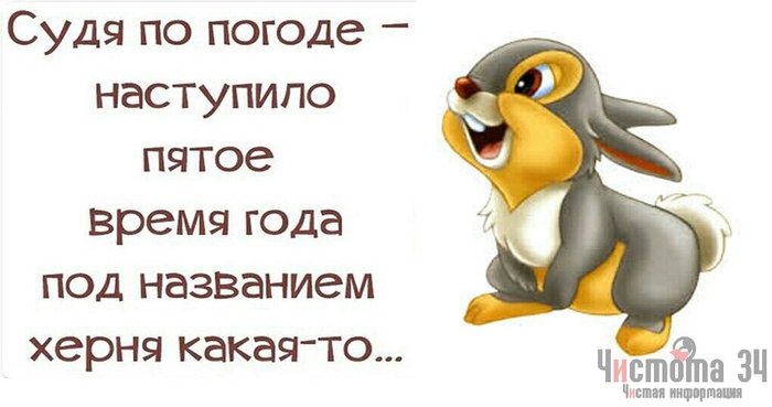 Главный синоптик Петербурга - Новости, Погода, Синоптики, Гадание, В питере пить