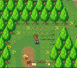 �������� ����� ����