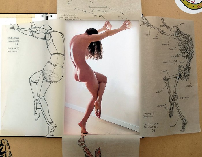 References by Ariel Aguire - NSFW, Reference, Grey's Anatomy, Longpost