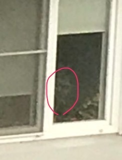 ������ ��� ������� �����...