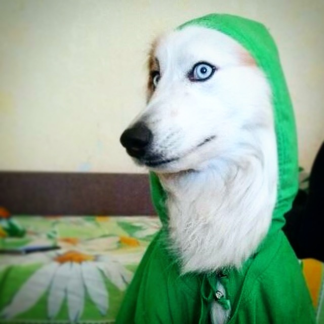 «Эм...как на счёт прогулки ?»