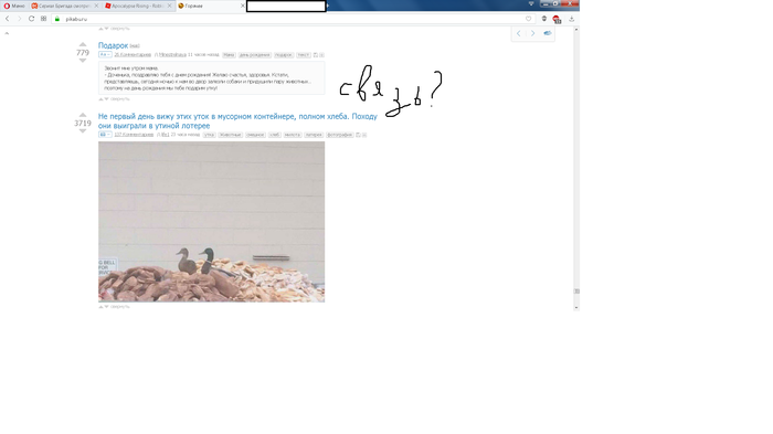 �������� ����������....��� �����������?