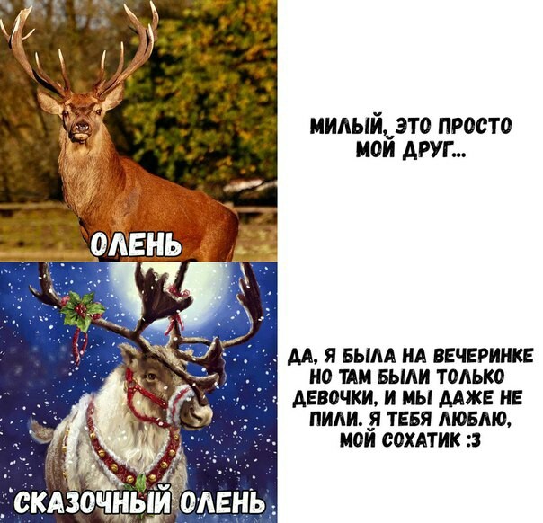 On a wave of betrayal - Humor, Picture with text, Deer, Horns, Deer