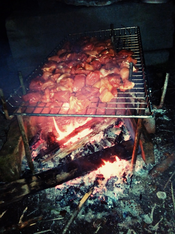 Shashlik and army - My, Army, Shashlik