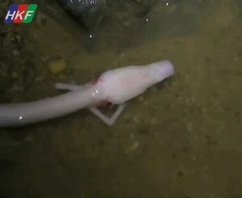      , , , , 