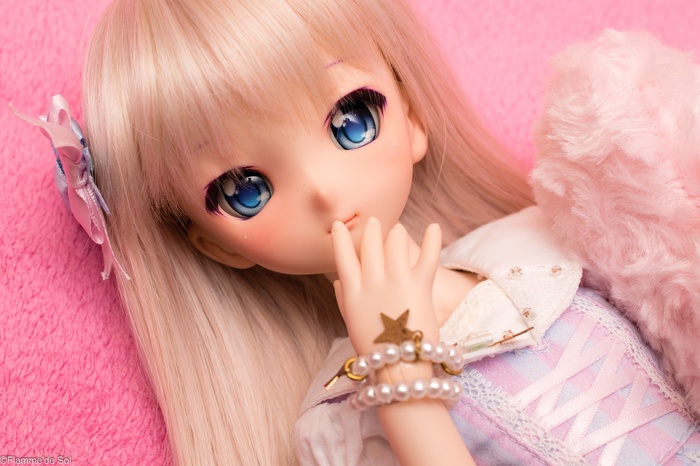 DollfieDream -  ? Dollfiedream, Minidollfiedream, ,  , , , 