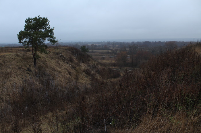 A bit of gloomy nature in the tape - Gloomy, Longpost, My, My, Voronezh, Nature, Canon
