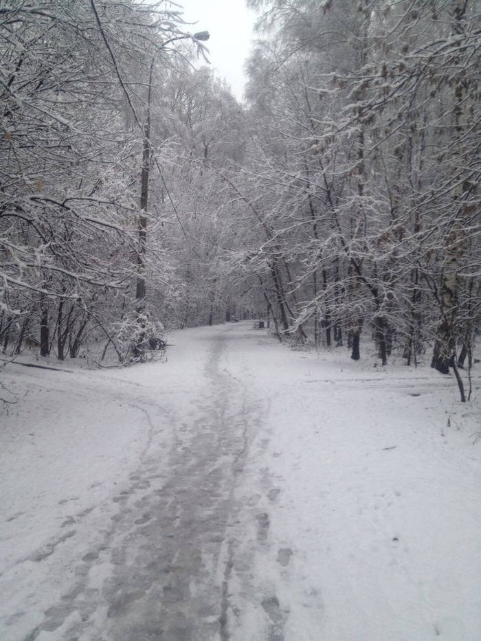 I go to work, and there is such a beauty! - My, Nature, Moscow, beauty, Winter, The park, Snow, 