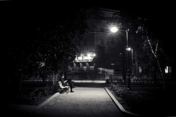 ,    .  2. , , Nikon d3100, 