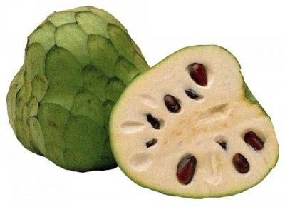 Cherimoya - My, Cherimoya, Poems, Poetry, Prilutsky, Фрукты