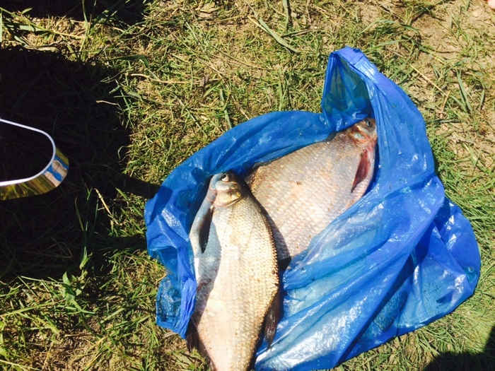 We fished on the Tura River 20 km from Tyumen, we got a little stuck, but we managed))) - My, Fishing, Tyumen, Rook, Bream, Bloater, UAZ loaf, Off road, Windlass, Longpost