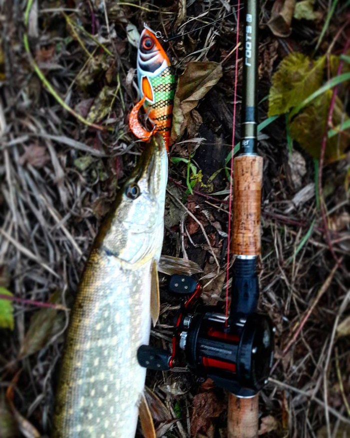 The ice does not rise, so the summer season does not close))) - My, Whiteriverufa, Spinning, , Fishing, Pike, Bashkortostan, The photo