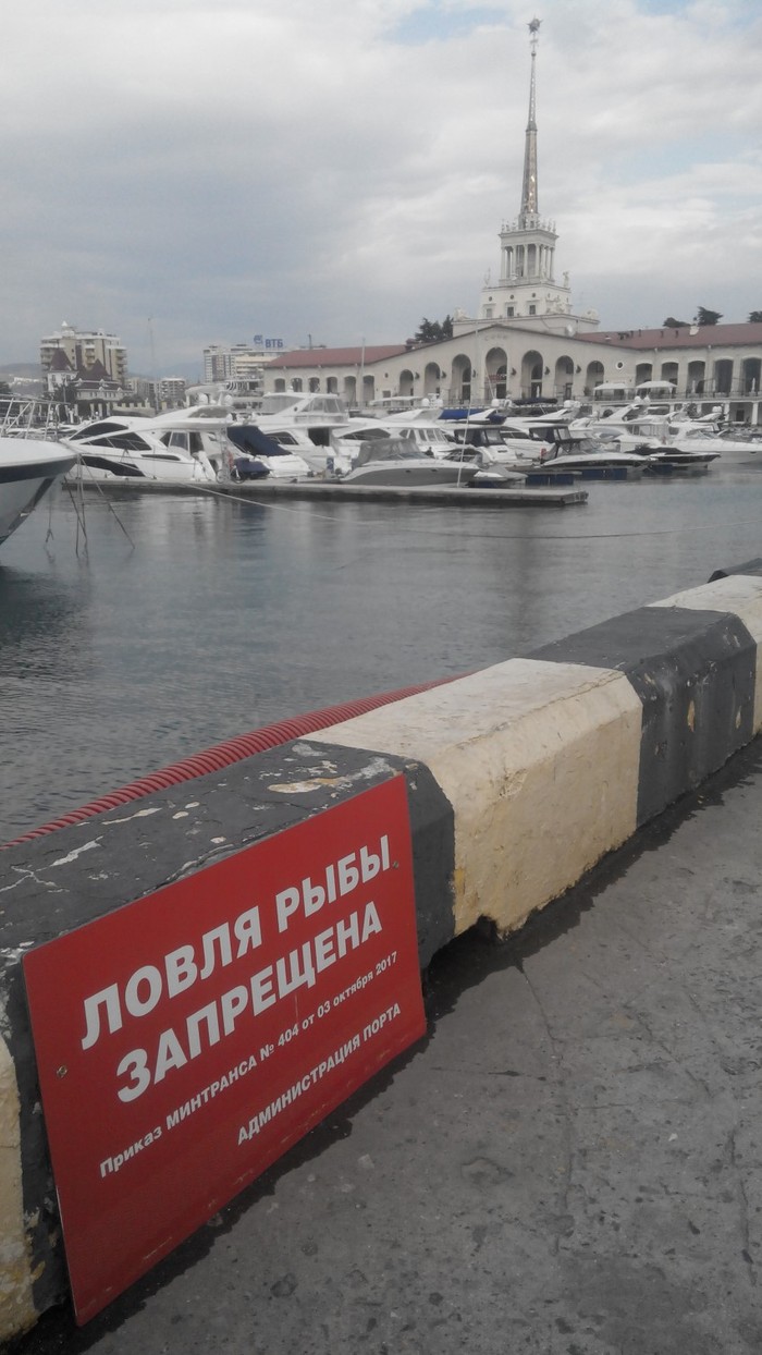 The water area of ??the Seaport of Sochi is closed with fences - My, Sochi, Port, Ministry of Transport, Fence, Story, Fishermen, cat, Longpost