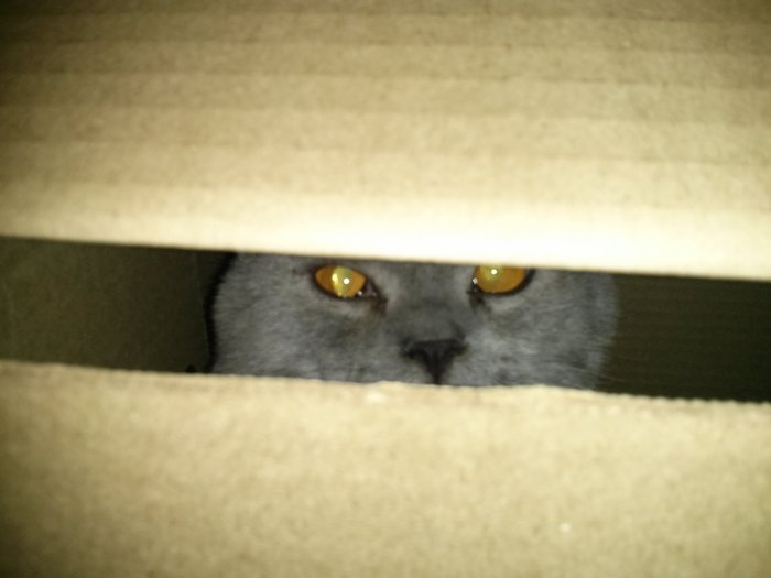 ���������.