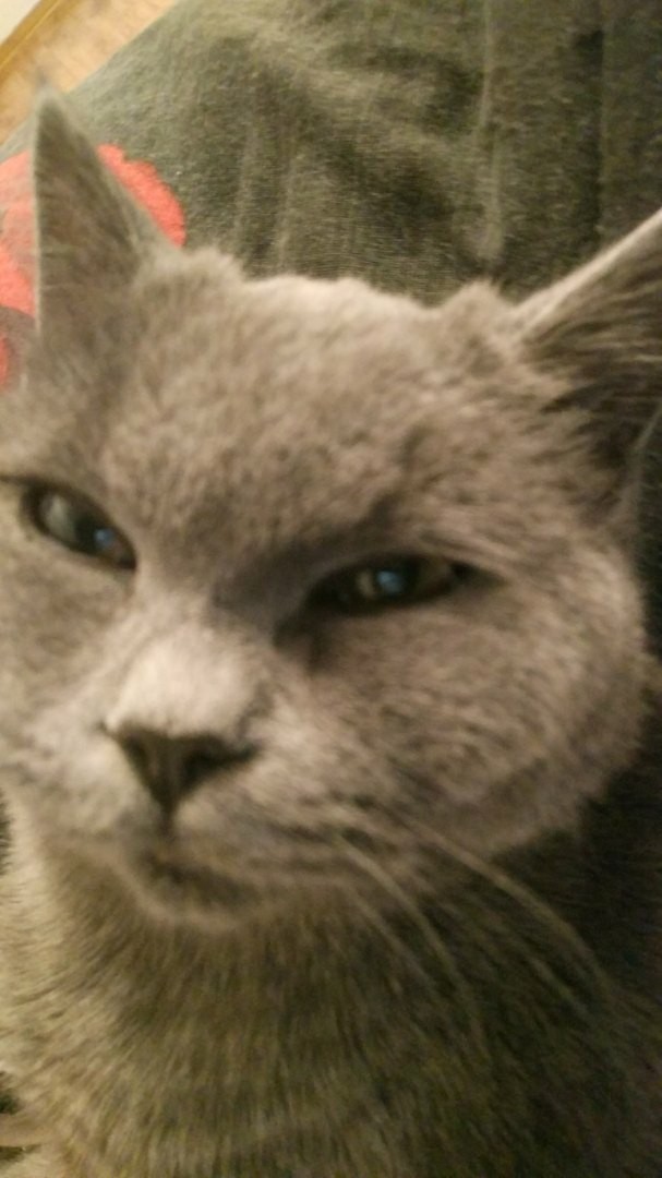 Когда случайно включил фронталку