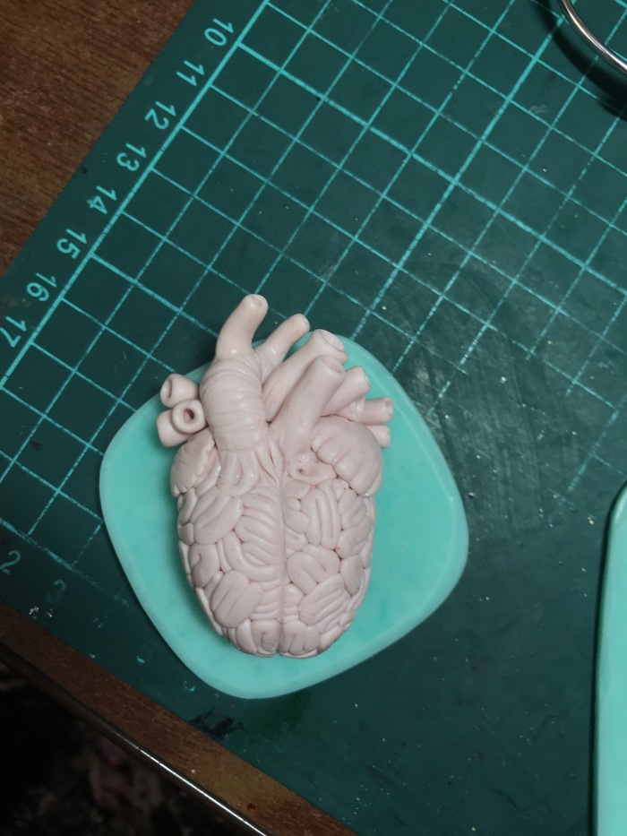 Brain-heart, still unpainted) - My, Brain, Heart, The medicine, Polymer clay, Needlework, Needlework with process