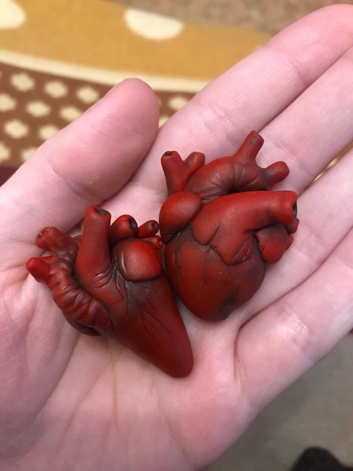 Anatomical? hearts. - My, Heart, Polymer clay, Horror, The medicine, Needlework, Pendant, Shta?